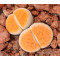 Orange Ice - Seed